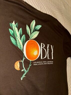 Obey Solid Brown Crewneck Tee